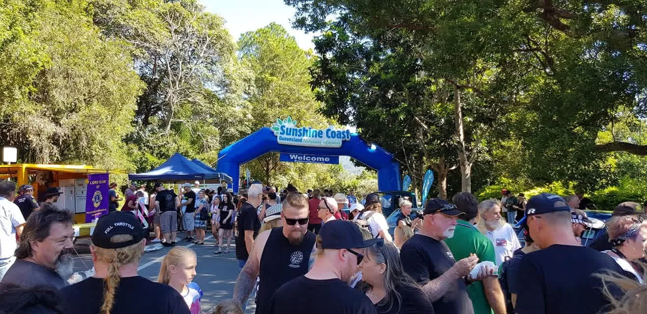 Community car show under the trees in Palmwoods