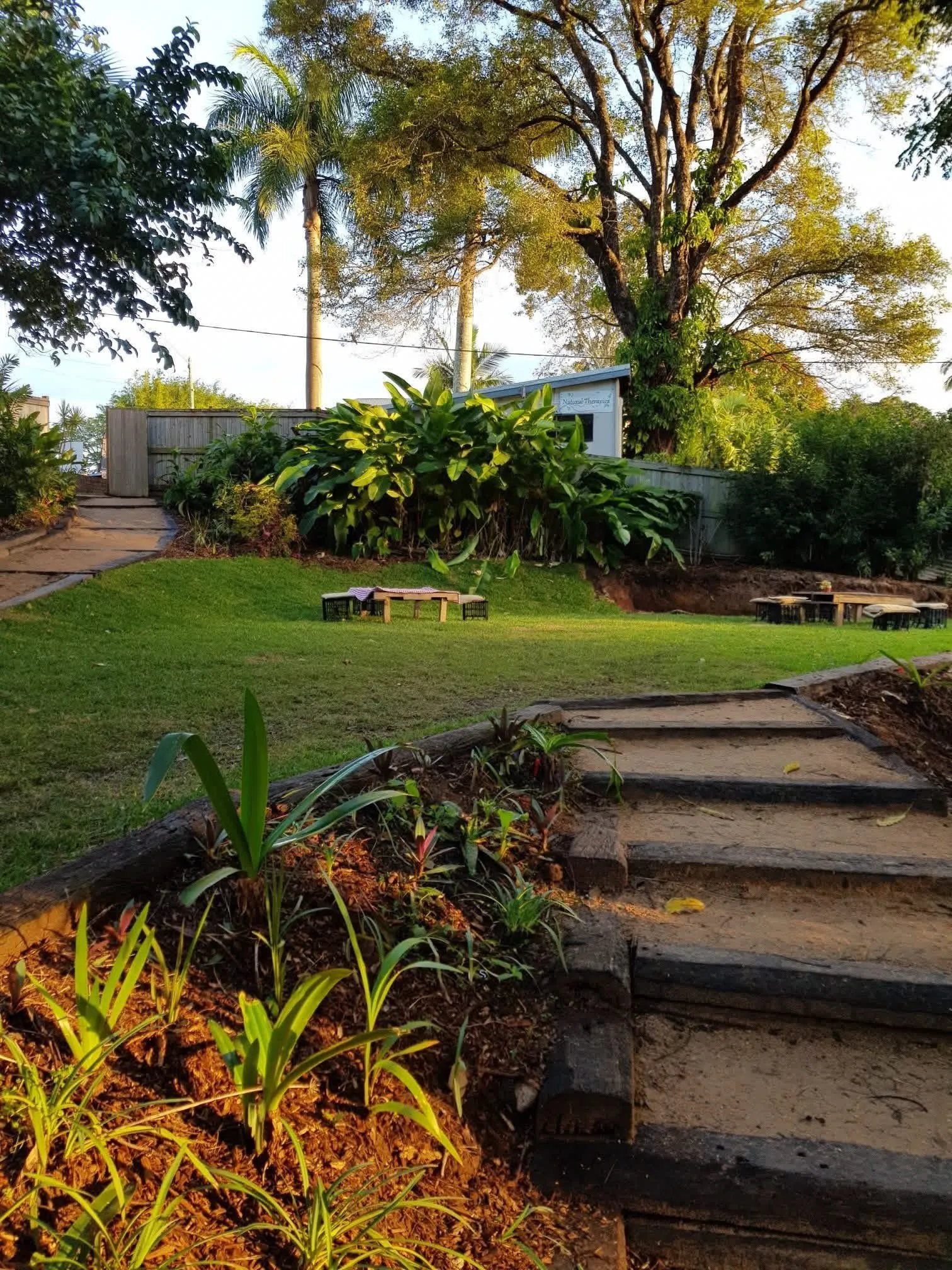 The terraced lawn and garden beds at Soil & Soul, Palmwoods Community Garden